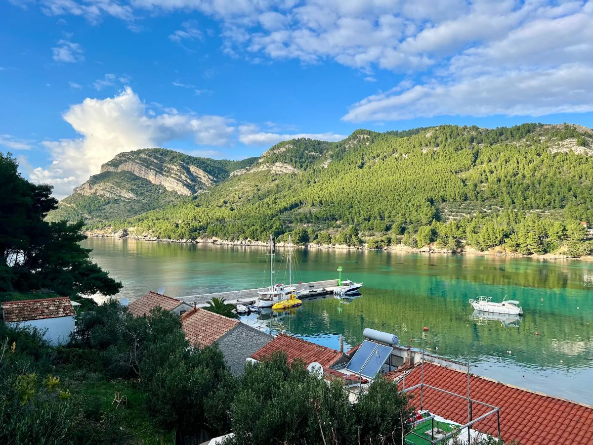 Panoramic view